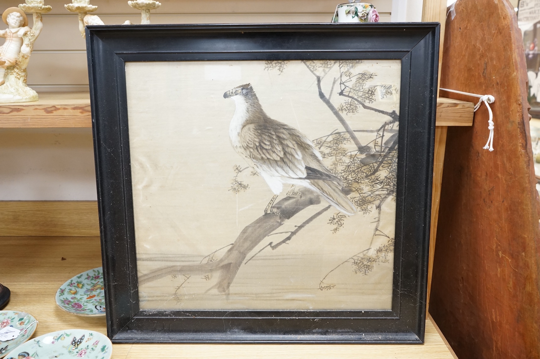 Chinese School, Study of a bird of prey, watercolour on silk, 49 x 51cm
